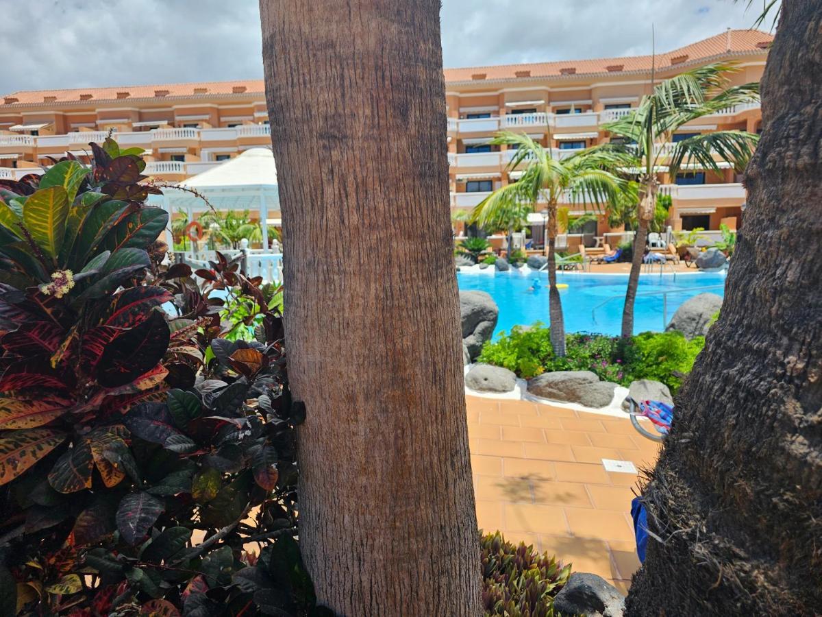 Tenerife Holidays Deluxe, Royal Garden, Las Americas Playa de las Americas  Eksteriør bilde